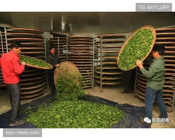 傅海峰家里茶叶堆成山，赛场上他连喝水都能讲究成艺术？